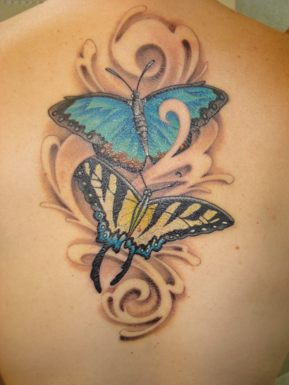 Butterfly Tattoos Designs Ideas And Meaning Tattoos For You