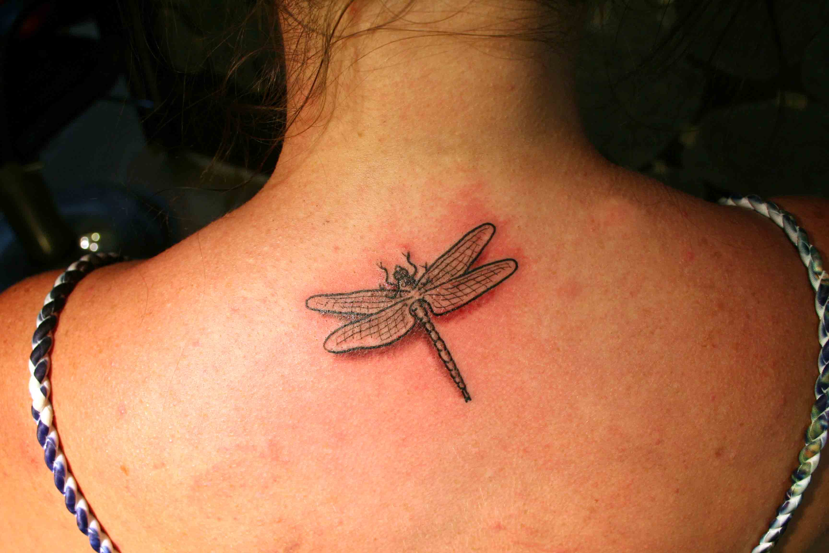 Dragonfly Tattoos Designs Ideas And Meaning Tattoos For You