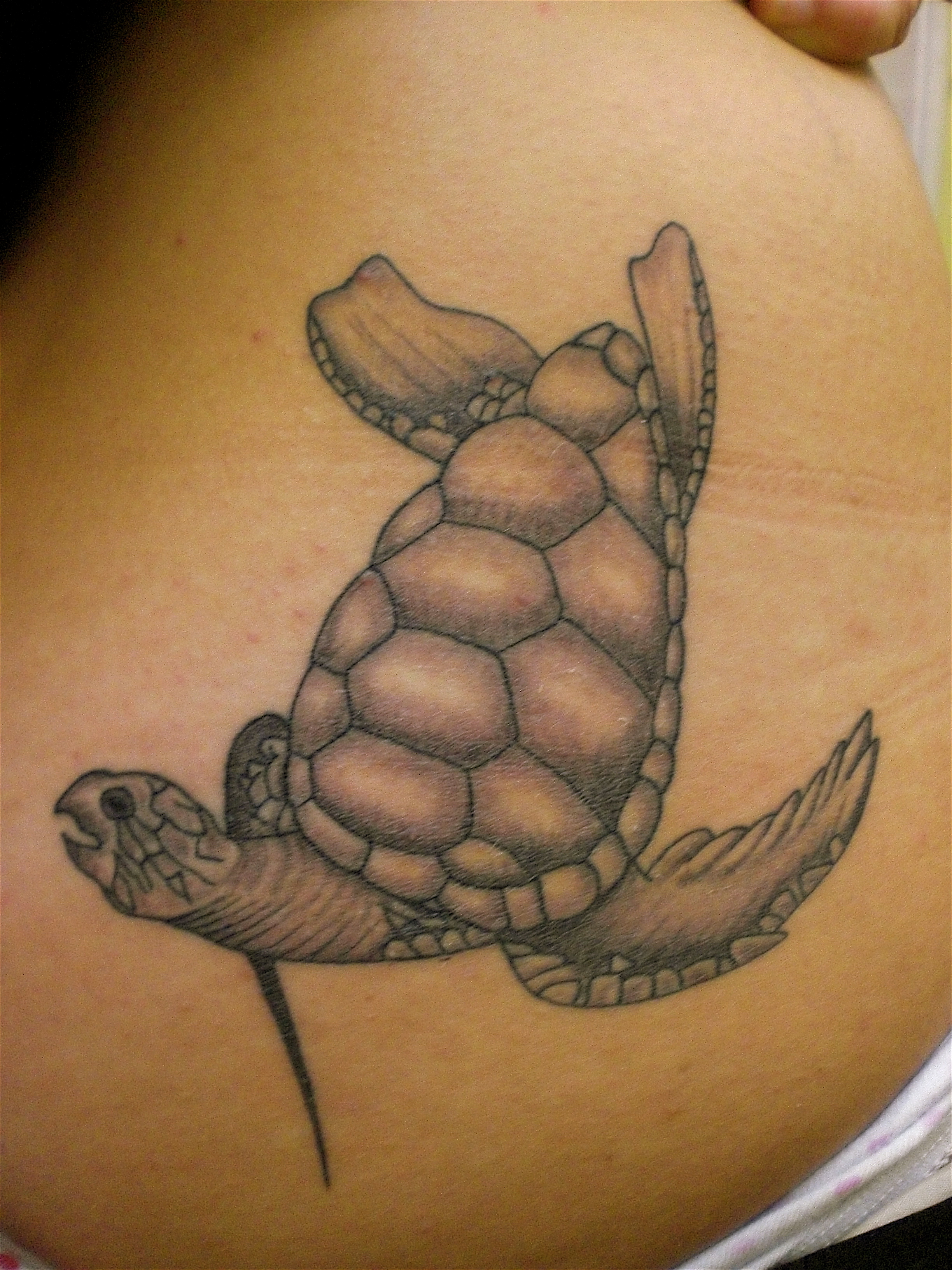 Turtle Tattoos Designs, Ideas and Meaning | Tattoos For You