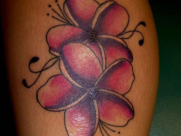 Plumeria Tattoos Designs Ideas And Meaning Tattoos For You