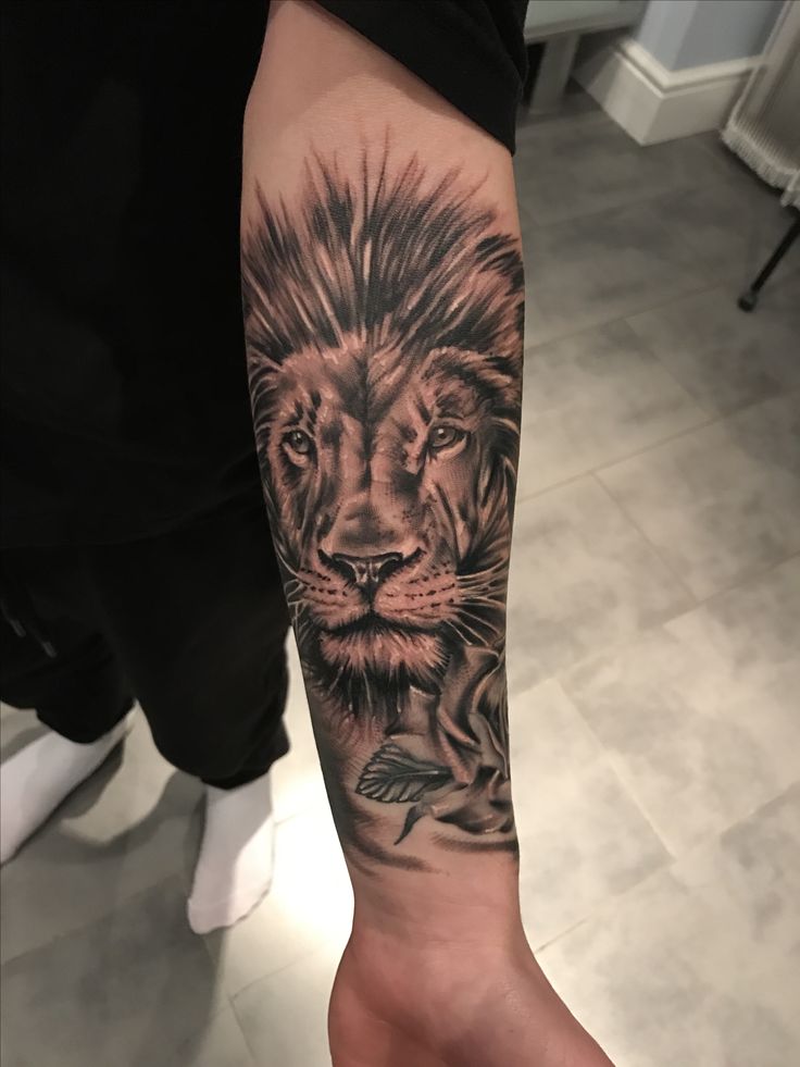 Lion Forearm Tattoos Designs, Ideas and Meaning Tattoos For You