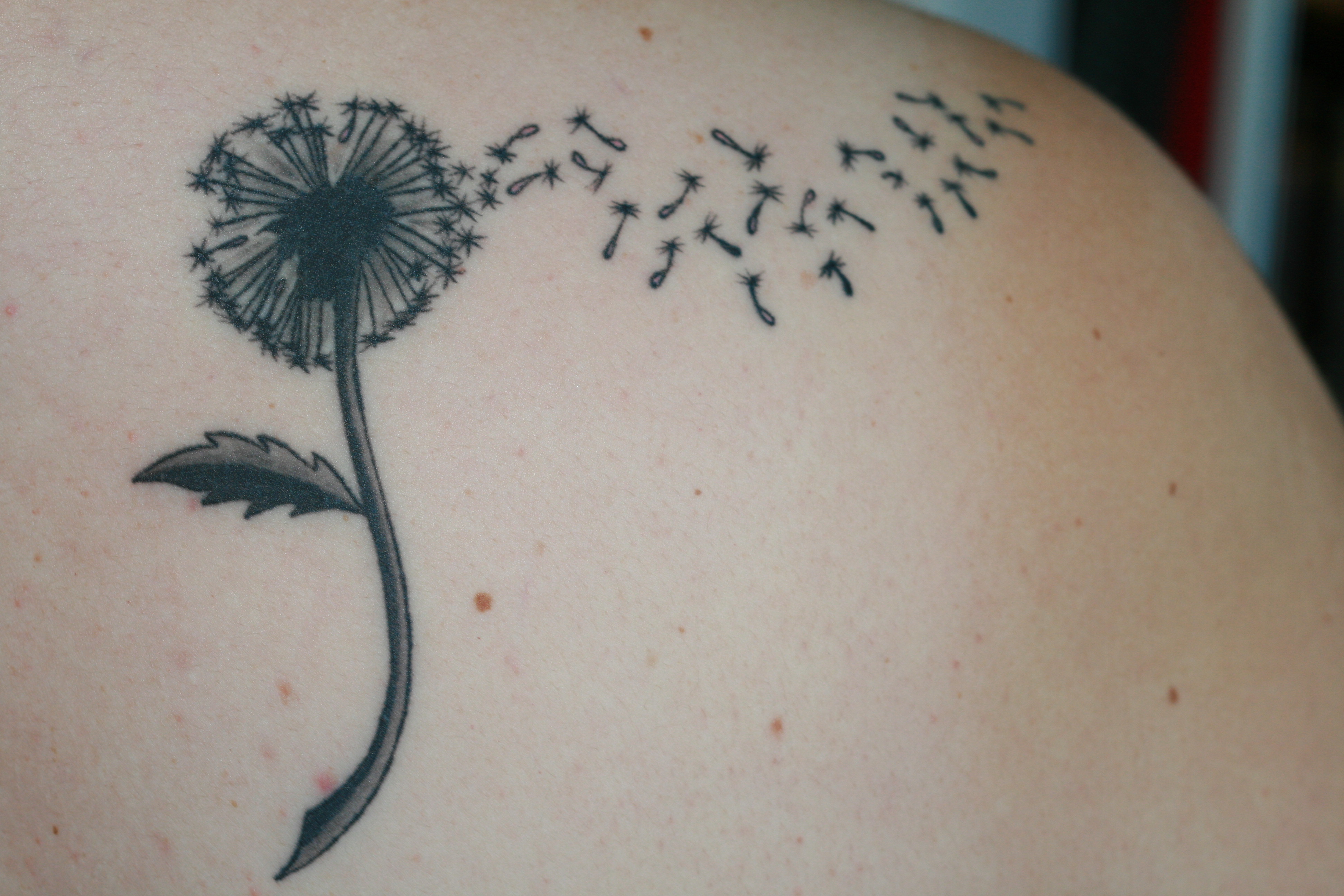 Unique dandelion tattoo with quote