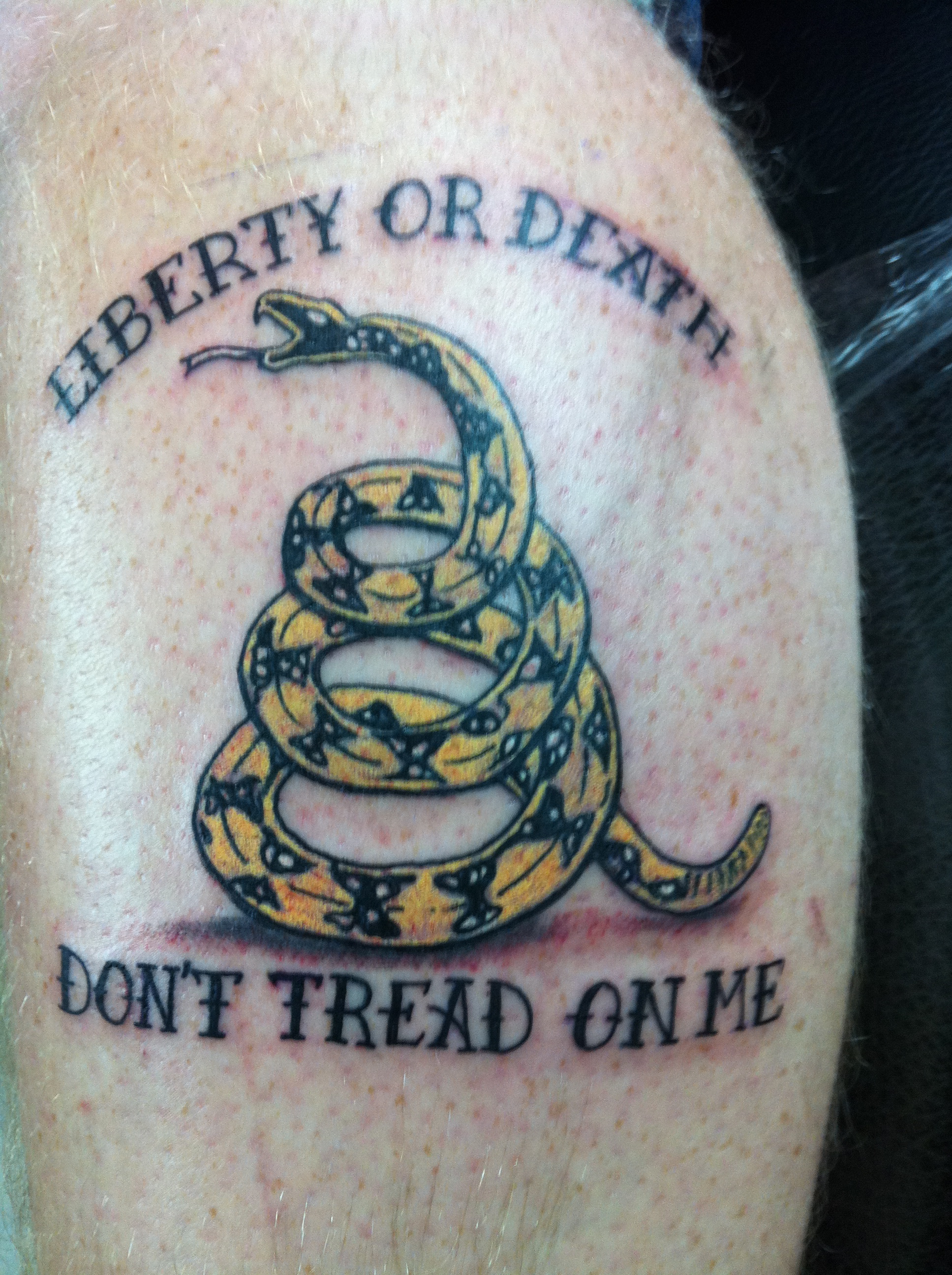Don t Tread On Me Tattoos Designs, Ideas and Meaning | Tattoos For You