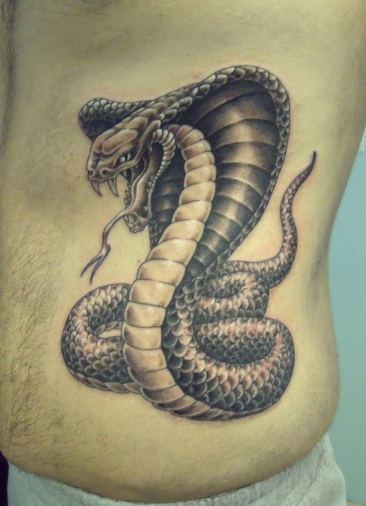 My Cobra snake tattoo | SVTPerformance.com